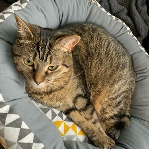 Meet your Posher, Valerie